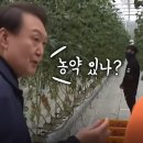 尹, 국민에 습관적 반말 지적한 김남국 "소탈은 본인 착각" 이미지