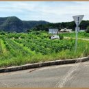 사리보건진료소 이미지