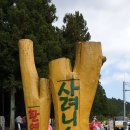경승농장 | 제주 가볼만한 곳 샤려니숲길&amp;렛츠런팜 후기