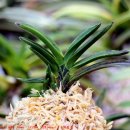 김정우 농장 이미지