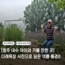 아트다래 | [청주 내수 아이와 가볼 만한 곳] 다래목장에서 사진으로 담은 여름 풍경!!