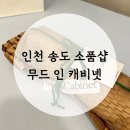 무드 인 캐비넷 이미지