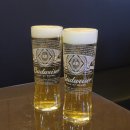 동네맛집 맥싸롱 | [청주 오송2산단 술집] 오송 생맥주 맛집, 청담동말자싸롱 오송바이오점