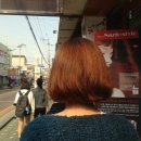 끌레헤어 이미지