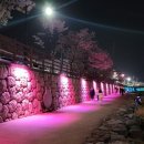 금호천 이미지
