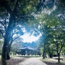 숲옛마을(갈계) | (거창여행) 꿈을 꾸듯 갈계숲으로 향하다