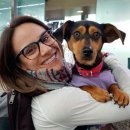 금메달농장 이미지