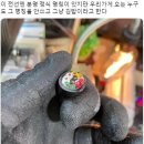 김밥주세요 이미지