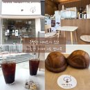 핑거커피남구번영로하늘채점 | 동네 카페이지만 아늑하고, 특별한 디저트가 있는 울산 너도밤나무 카페 후기
