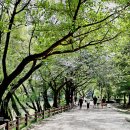 장자호수공원 이미지