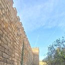 🏰 [세비야 알카사르(Real Alcázar)] 이슬람과 기독교의 화려한 공존, 9:30 입장 후기 & 꿀팁