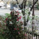 동백미장원 이미지