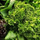 상사서로4길 이미지