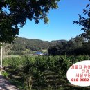 새실농장 이미지