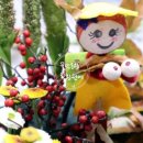 꽃보다 인생 원예 테라피 이미지