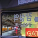 무계획 여행 : 혼자 수원