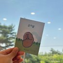 춘천 감자빵은 바로 여기! 무지 넓은 대형 카페 감자밭 내돈내산 후기