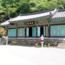 망일사 - 1385 | 망일사