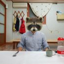 나루목 이미지