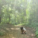명일공원 유아숲체험원 이미지