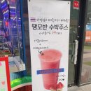 커피사피엔스U1 | U1 수박주스 땡모반 맛집 커피사피엔스 후기