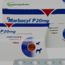 성동동물약국 이미지