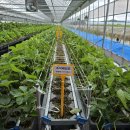 원원농장 이미지