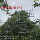 고전문화청담점