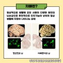 장성기독의원 이미지