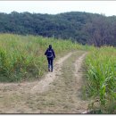 다운목장 이미지