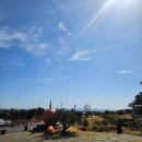 감귤박물관 | 제주 감성 가득한 공간 감귤박물관 방문 후기