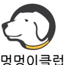 멍멍이 클럽 이미지