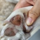 해원 동물병원 이미지