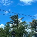 달샘목장 | [나트랑 태교여행] 나트랑 판랑 사막투어 후기(판랑 단독투어, 임산부, 소요시간, 복장 등)