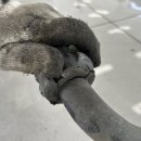 마스타 전문정비 이미지