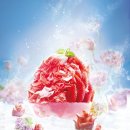 Cool 과일빙수 이미지