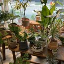 주흥길 24 이미지