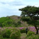 좋은아침 이미지