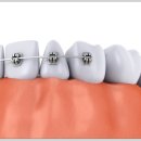 서울바른현치과의원 이미지