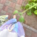 달다 | [오붓 웰니스 패스] 요가 참 달다 수업 후기