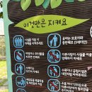 동배들길~북문대로272번길 | 광주 애견동반 영산강 유아숲 체험원 놀이터