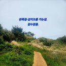 한길로 | 제주 동쪽 여행 필수! 섭지코지 휠체어 현실 후기 (이 길로 가세요🔥)