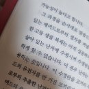 야스미 이미지