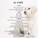 독도호텔 이미지