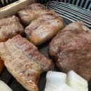 고기백과 이미지