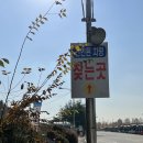 불법주정차 견인보관소 | 불법주정차 과태료 및 견인당한 후기 ft.모란피견인차량보관소