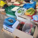 번개시장 | 삼척 해산물 구입은 번개시장 추천, 들린후기