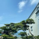 환상의바다리조트D동 | 대천호텔 환상의바다리조트 오션뷰 가성비숙소 내돈내산 찐 후기