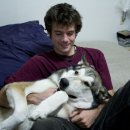 로얄동물메디컬센터 강동 이미지