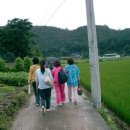 효영농장 이미지